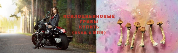 первитин Вяземский