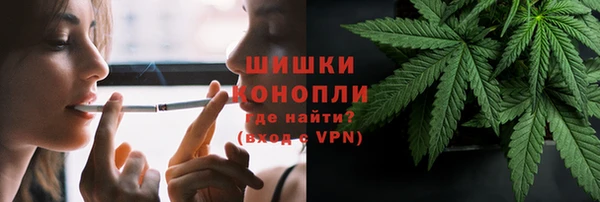 стаф Вязьма