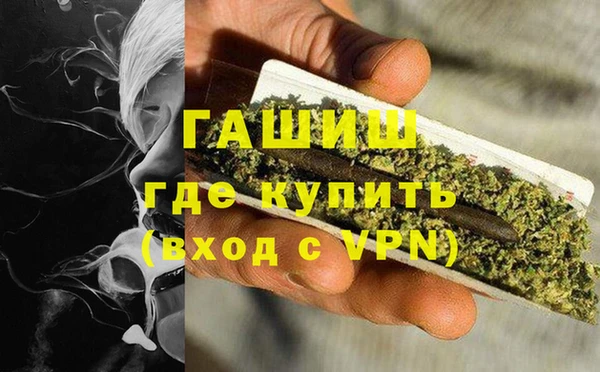 стаф Вязьма