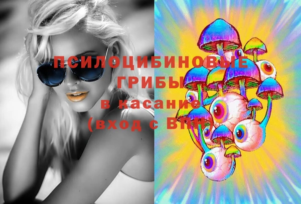 стаф Вязьма