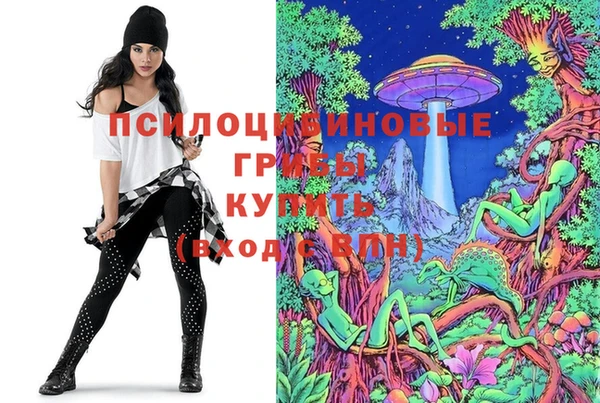 первитин Вяземский