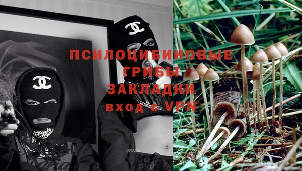 ECSTASY Снежногорск
