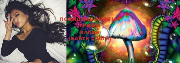 стаф Вязьма