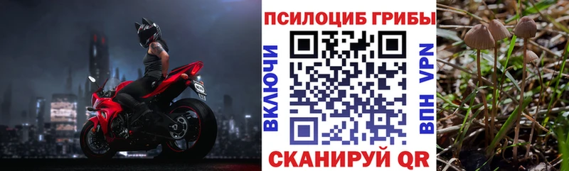 МЕГА как зайти  где найти наркотики  Электросталь  Галлюциногенные грибы GOLDEN TEACHER 
